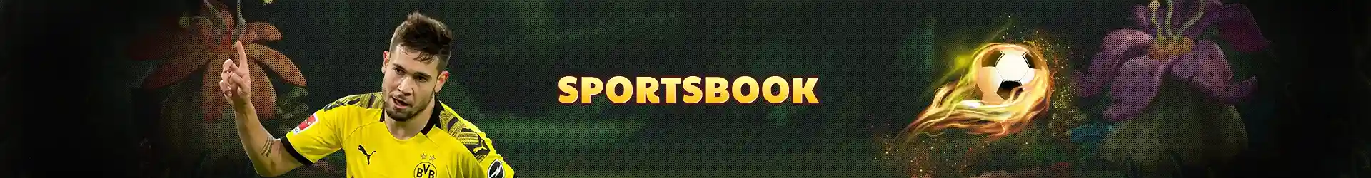 BMY882 Sports Betting